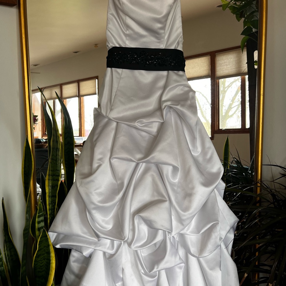 David's Bridal White Wedding Dress with Black Accent